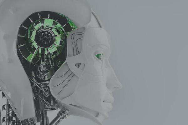 Robots at Home and at Work? This is How Organizations Can Reap the Rewards