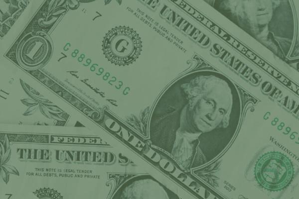 Profit in Purpose: How Sustainability Drives Growth