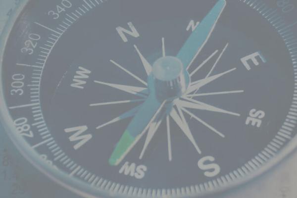 The Leader’s Guide to Innovating Through Unpredictable Times
