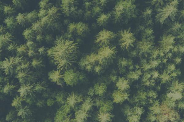 Responsible Growth Is Not Just a Trend – It’s Critical to Long-term Success