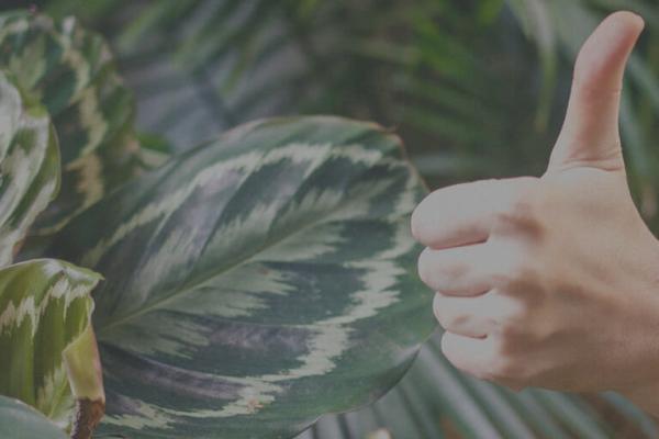 What Leaders Gain When Employees Speak Up