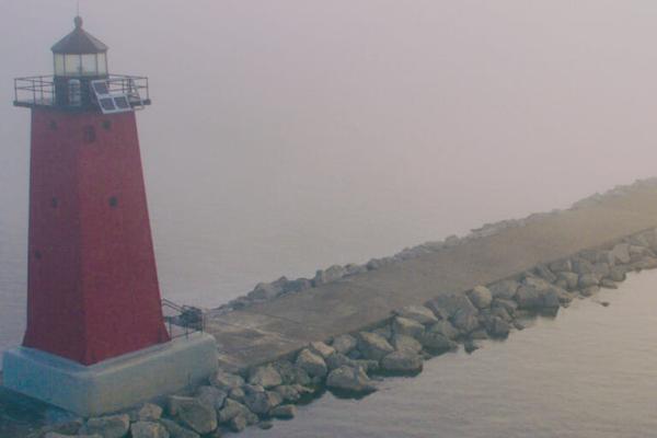 To Earn Customer and Employee Loyalty, Proactively Cultivate Trust