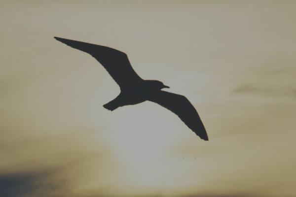 There’s a Payoff to Investing in your High Potentials