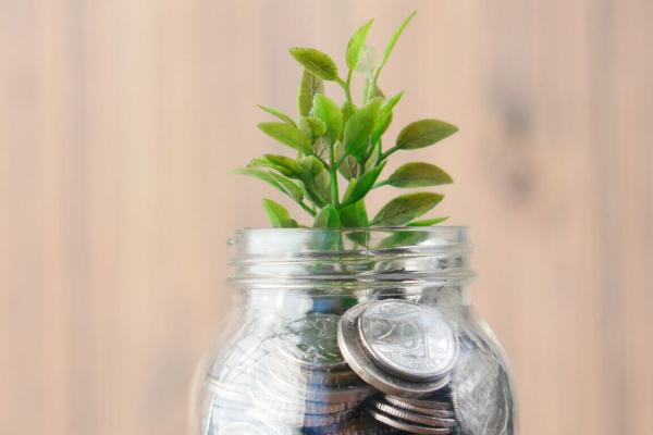 The ESG Playbook for Achieving Profit and Purpose