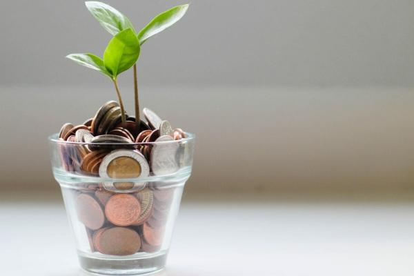 Greening Your Future: Expert Climate Insights for Earth Month and Beyond