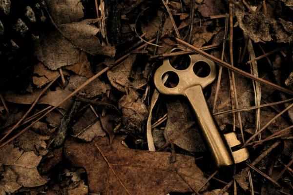 The Hidden Assets That Drive Growth for High-Performance Companies