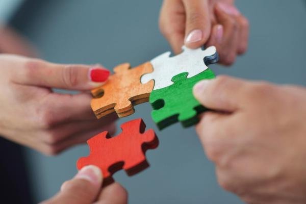 Advisory Services: Managing Culture via Outside Expert